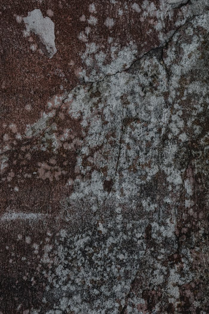 Close-up of a weathered concrete wall with visible cracks and moss textures.