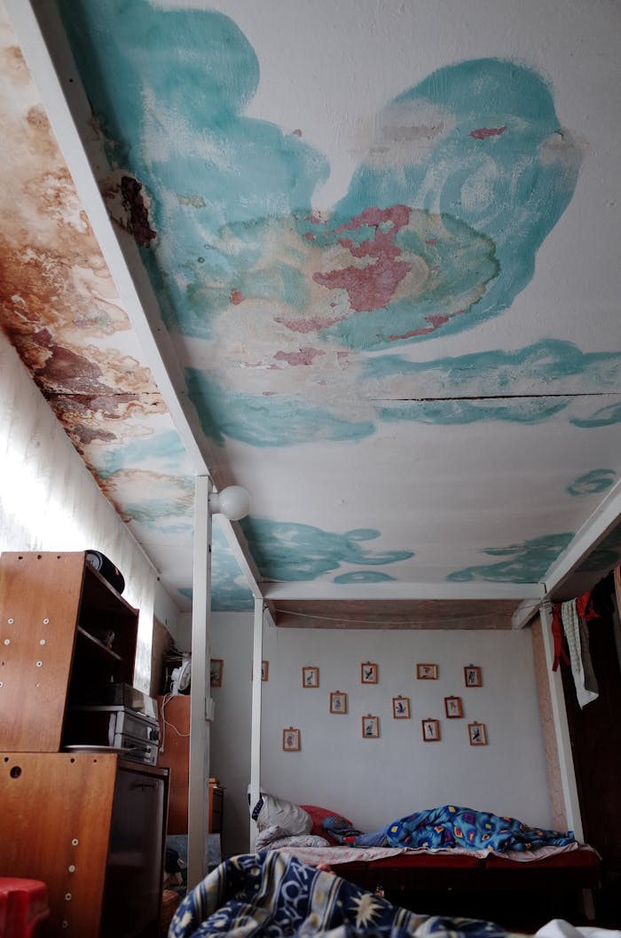 Services-02 An old bedroom featuring unique ceiling art with peeling paint and vintage furnishings.